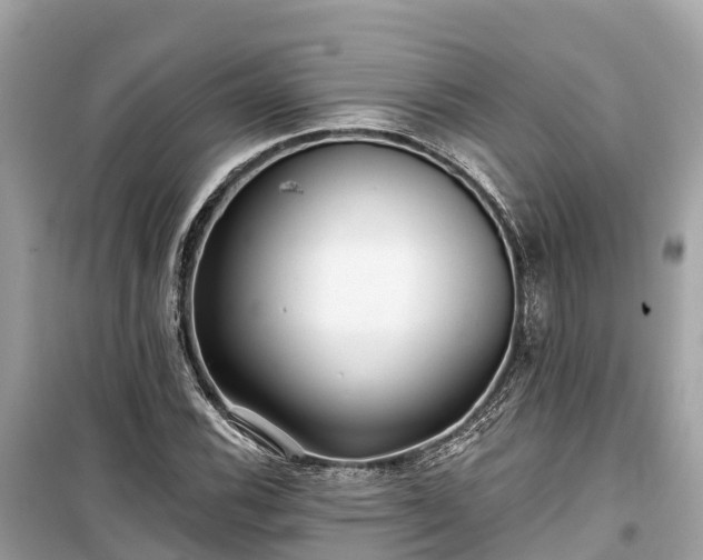X0000099441116200805161127