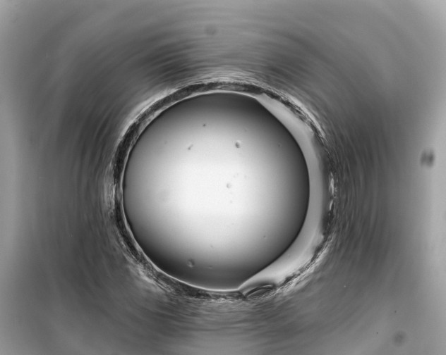 X0000099441117200805161127