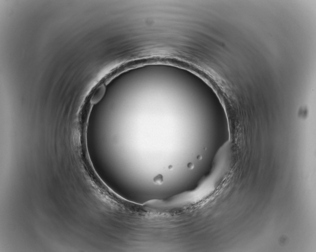 X0000099441118200805161127
