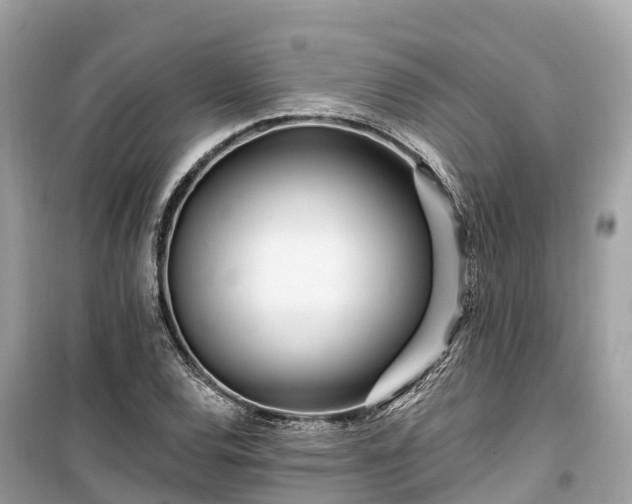 X0000099441120200805161127