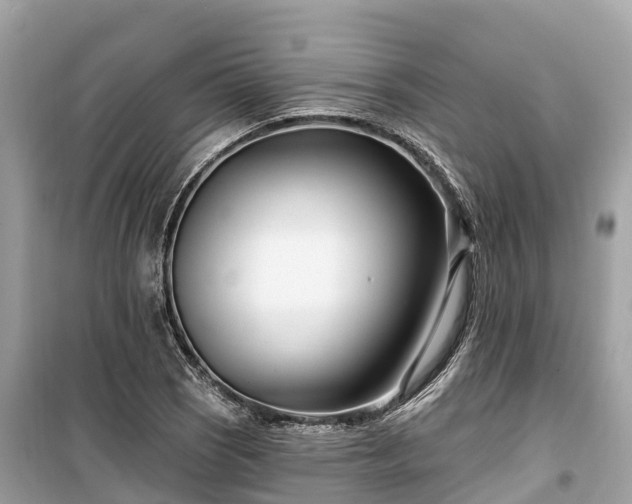 X0000099441121200805161127