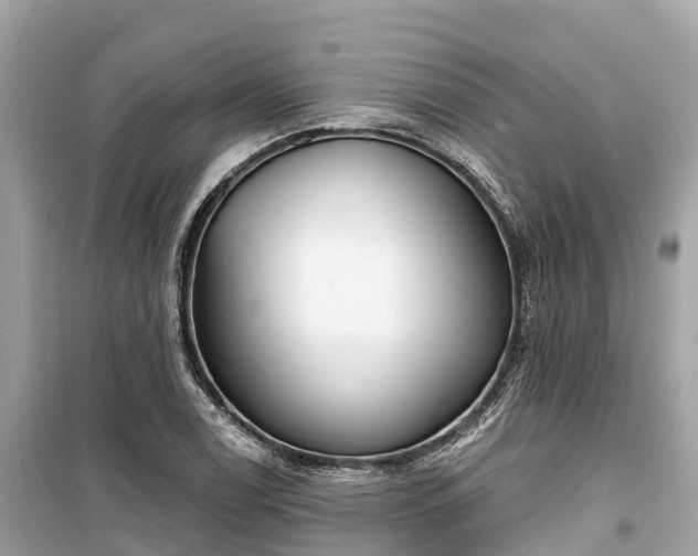 X0000099441122200805161127
