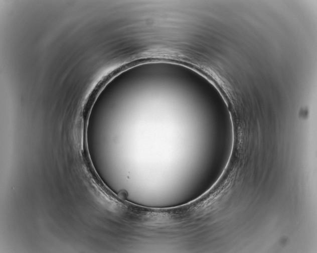 X0000099441123200805161127