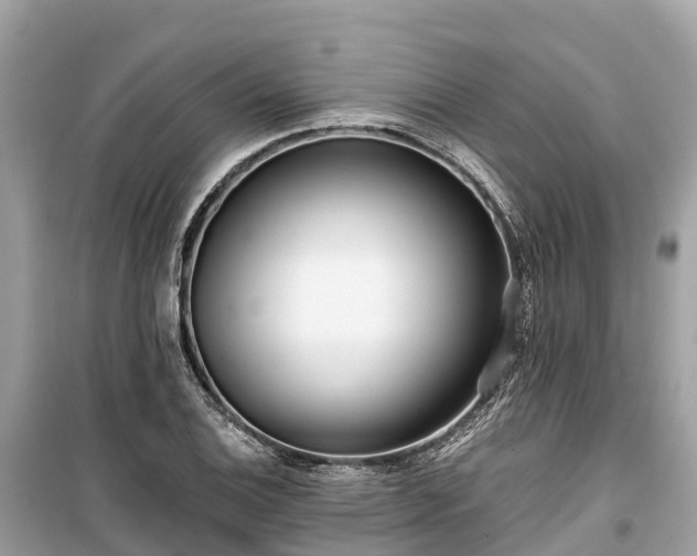 X0000099441124200805161127