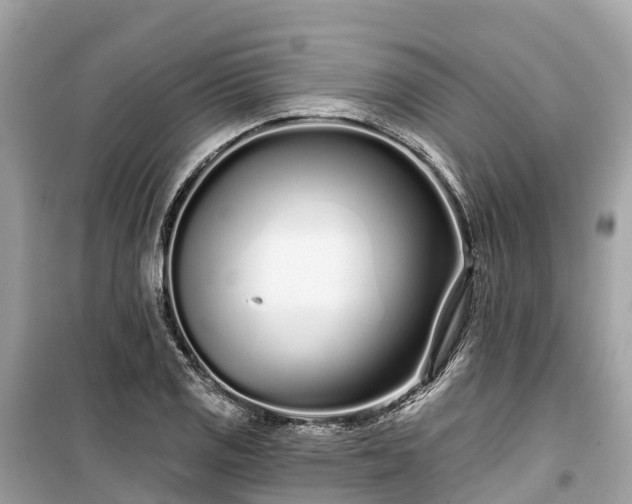 X0000099441125200805161127