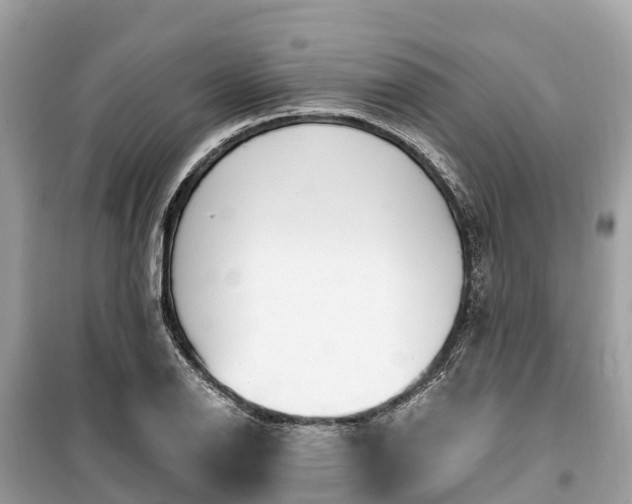X0000099441126200805161127
