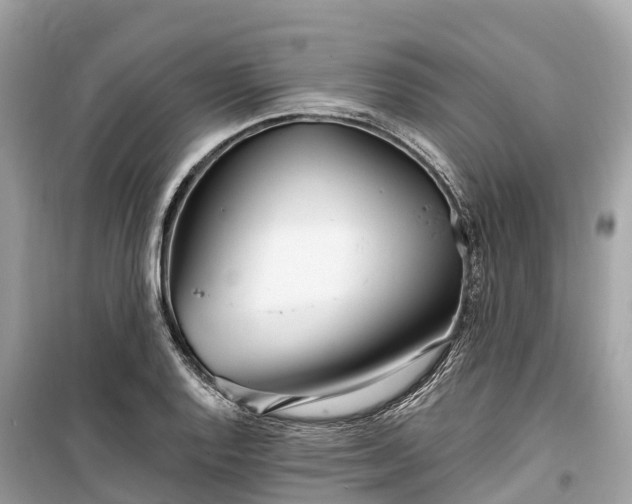 X0000099441128200805161127