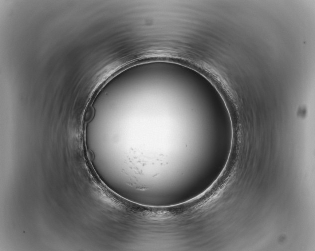 X0000099441129200805161127