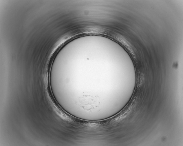 X0000099441130200805161127