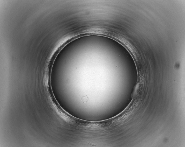 X0000099441131200805161127