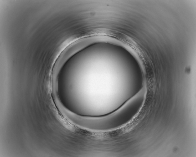 X0000099441132200805161127