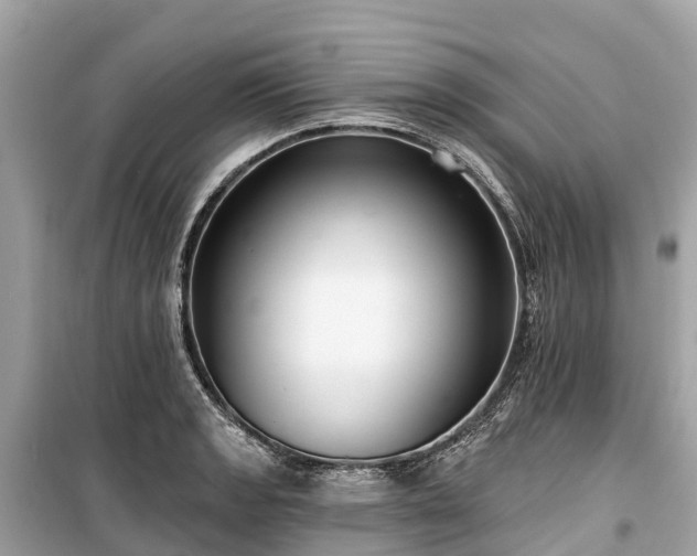 X0000099441133200805161127