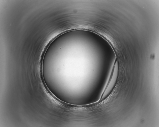 X0000099441135200805161127
