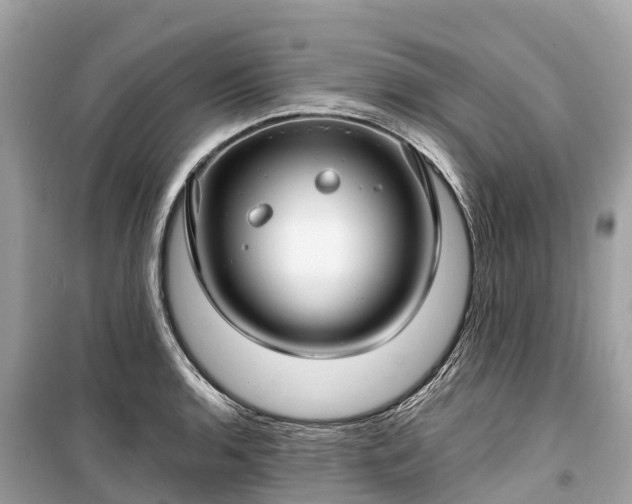 X0000099441136200805161127