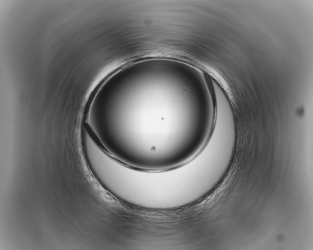 X0000099441138200805161127