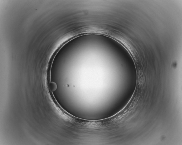 X0000099441139200805161127