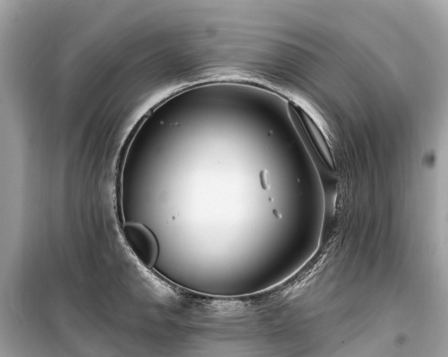 X0000099441142200805161127