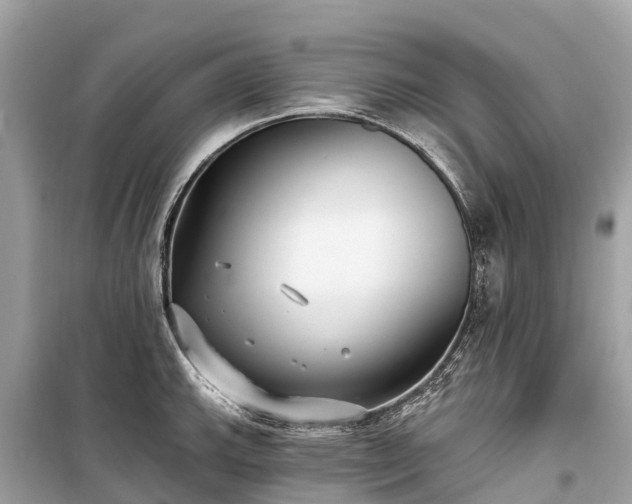 X0000099441143200805161128