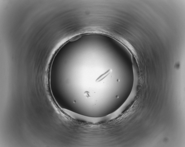 X0000099441144200805161128