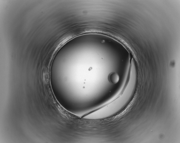 X0000099441145200805161128