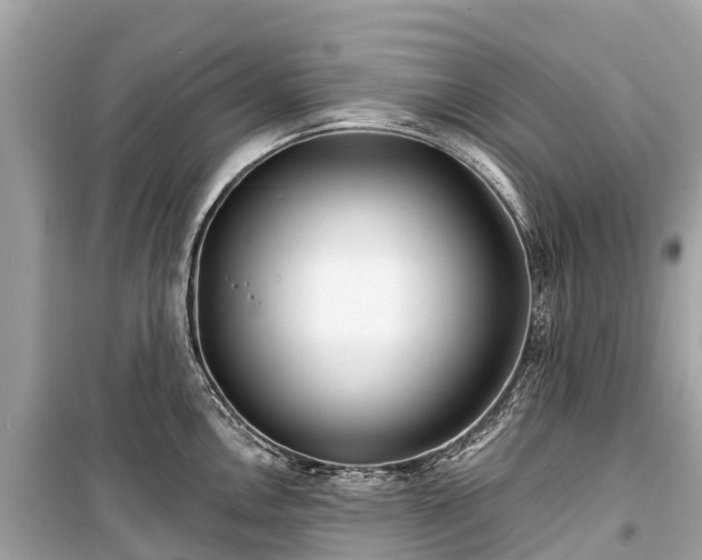 X0000099441146200805161128