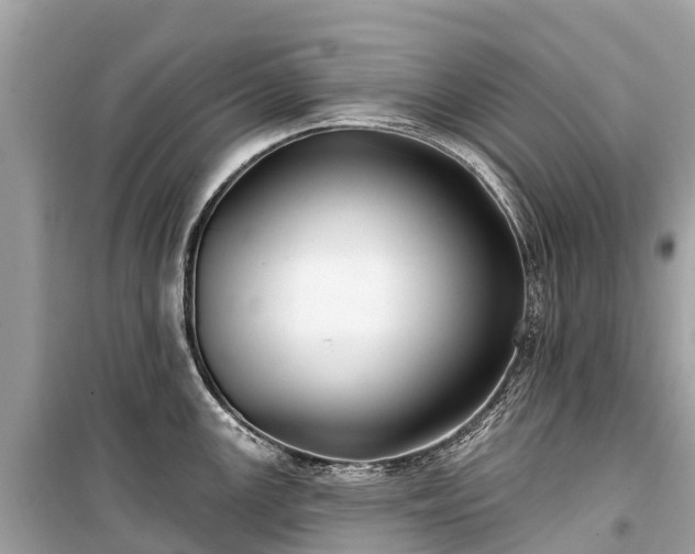 X0000099441147200805161128