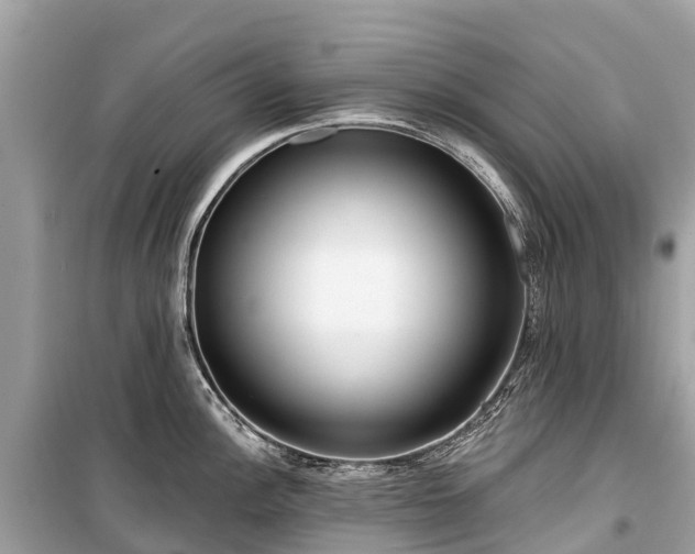 X0000099441148200805161128