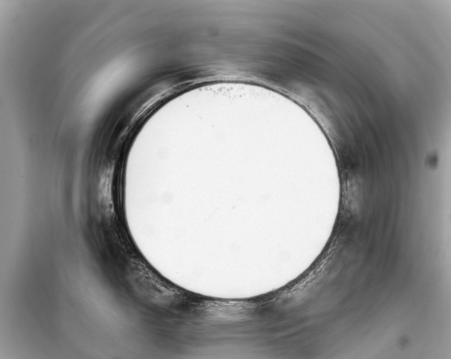X0000099441150200805161128