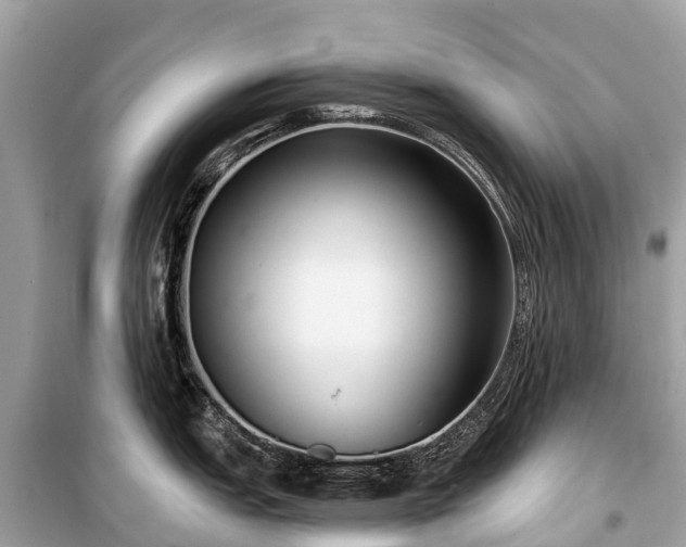 X0000099441151200805161128