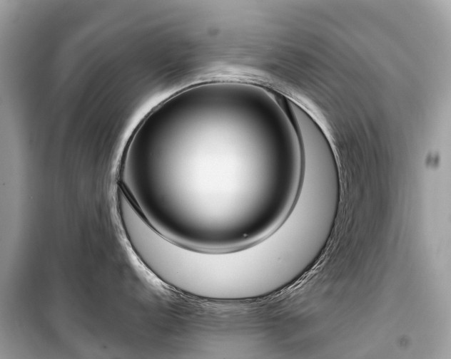 X0000099441152200805161128