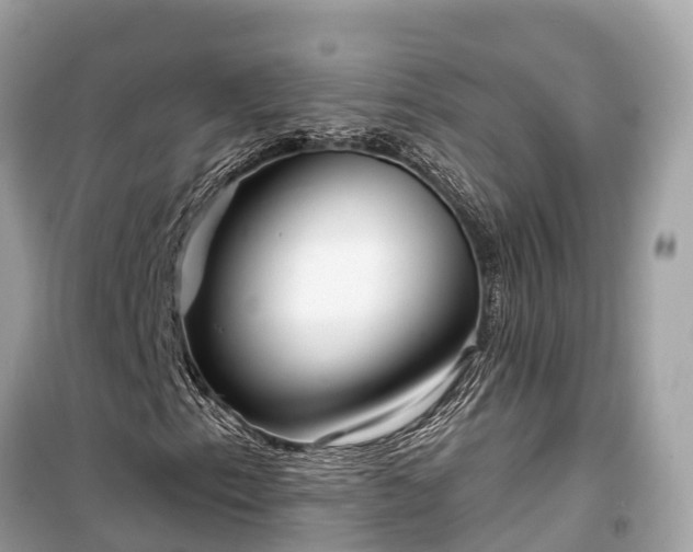 X0000099441153200805161127
