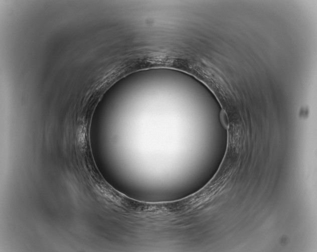 X0000099441154200805161127