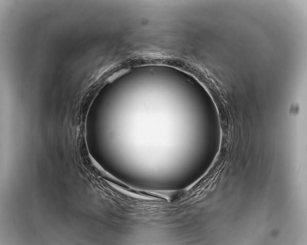 X0000099441157200805161127