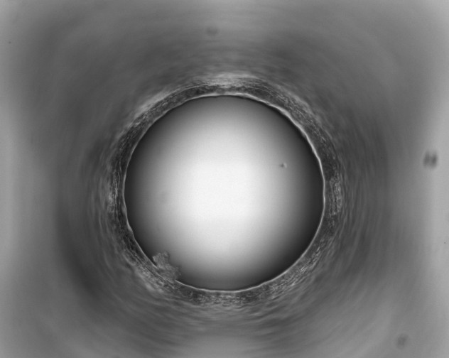 X0000099441158200805161127