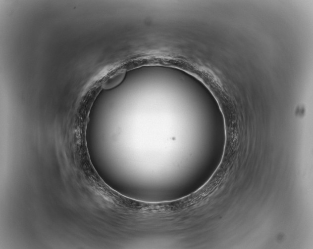 X0000099441159200805161127