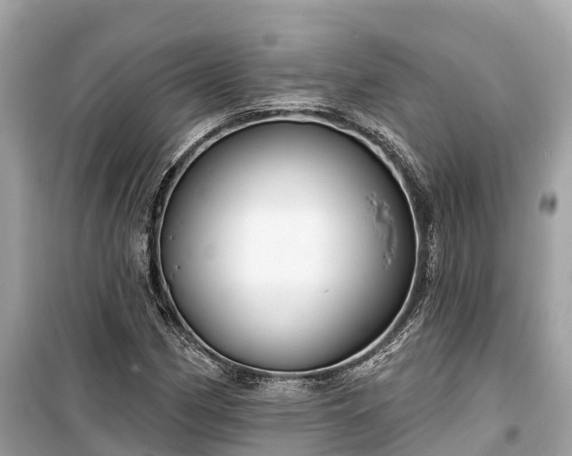 X0000099441162200805161127