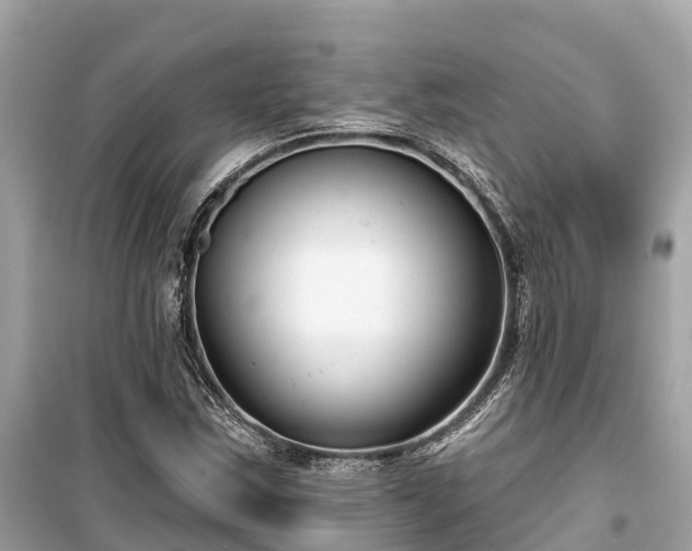 X0000099441163200805161127