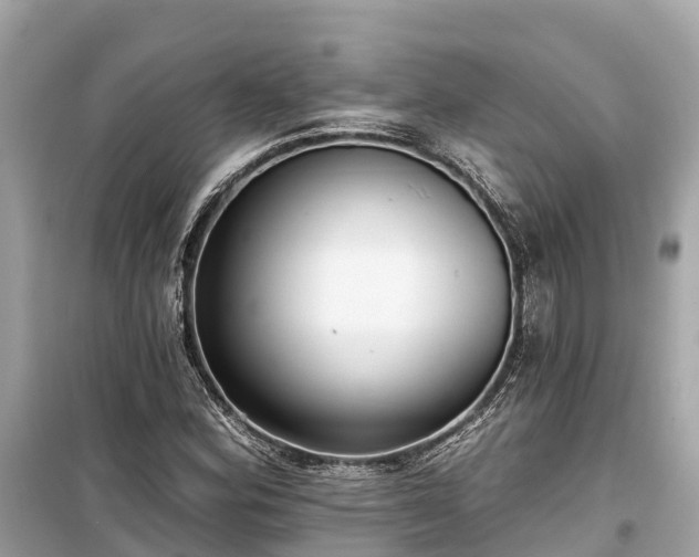 X0000099441164200805161127