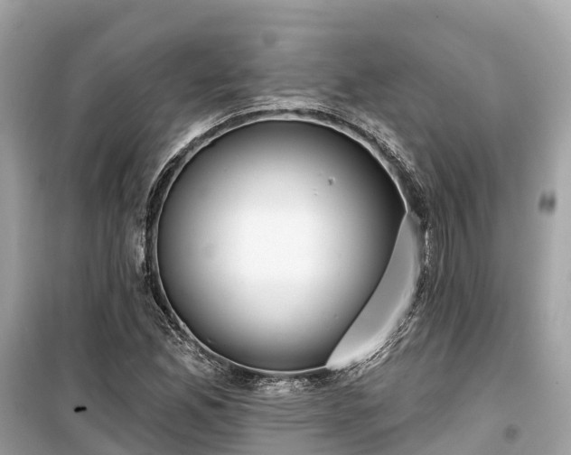 X0000099441165200805161127