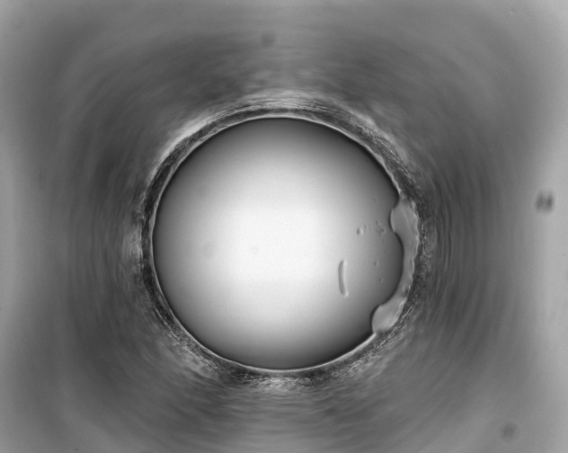 X0000099441166200805161127