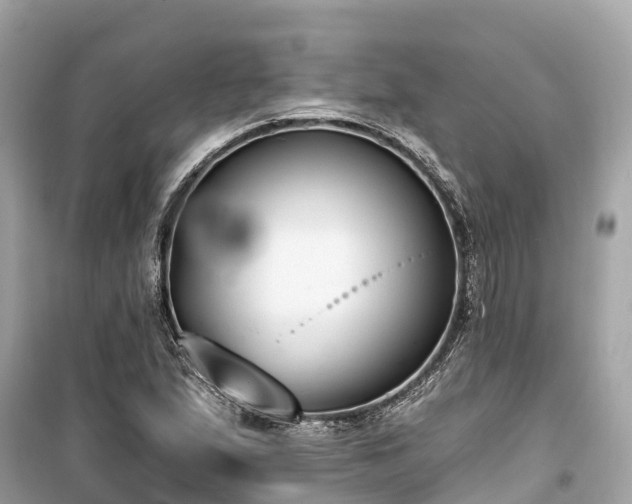 X0000099441167200805161127