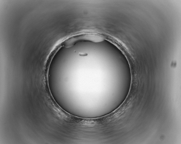 X0000099441168200805161127
