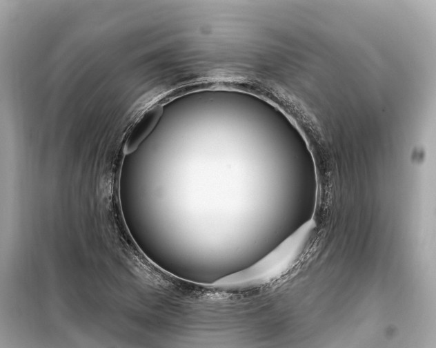 X0000099441169200805161127