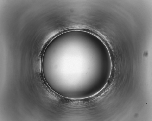 X0000099441171200805161127
