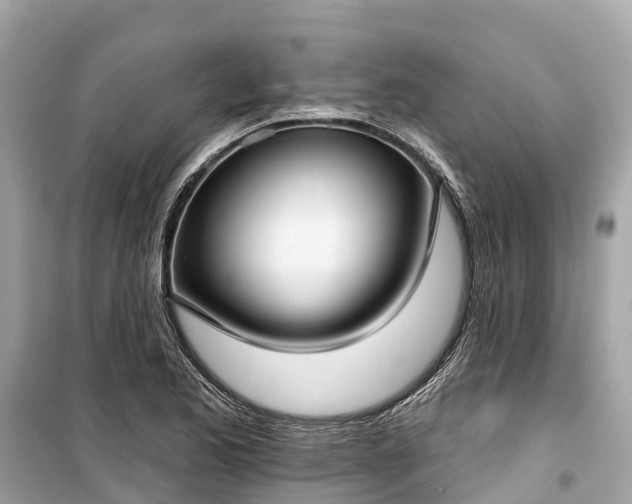 X0000099441173200805161127