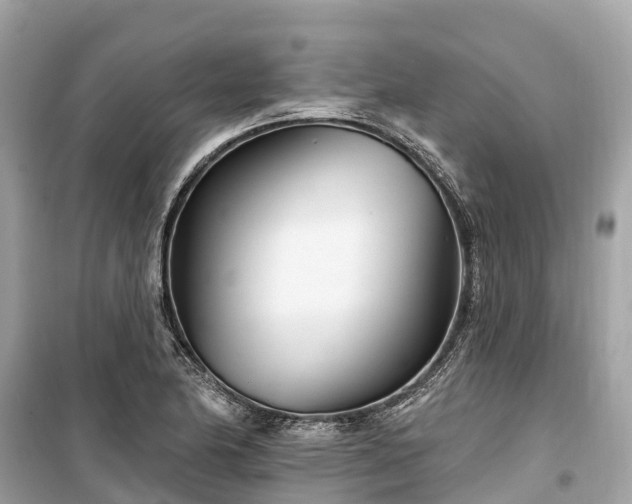 X0000099441174200805161127