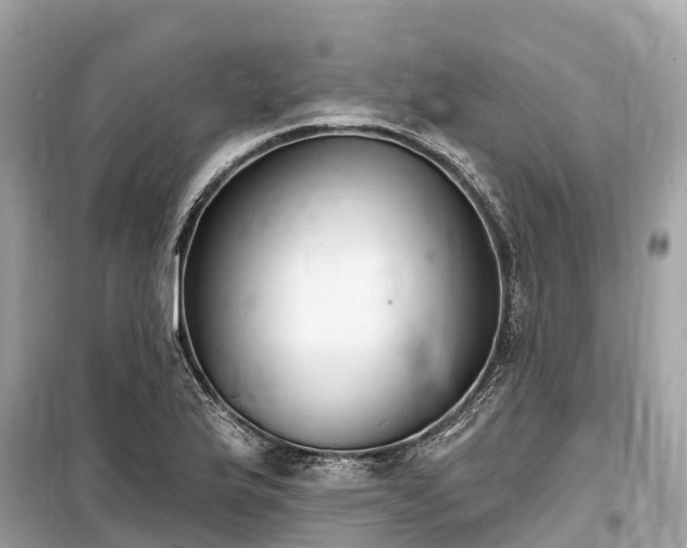 X0000099441175200805161127