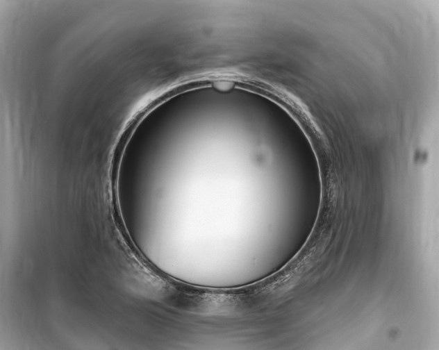 X0000099441176200805161127