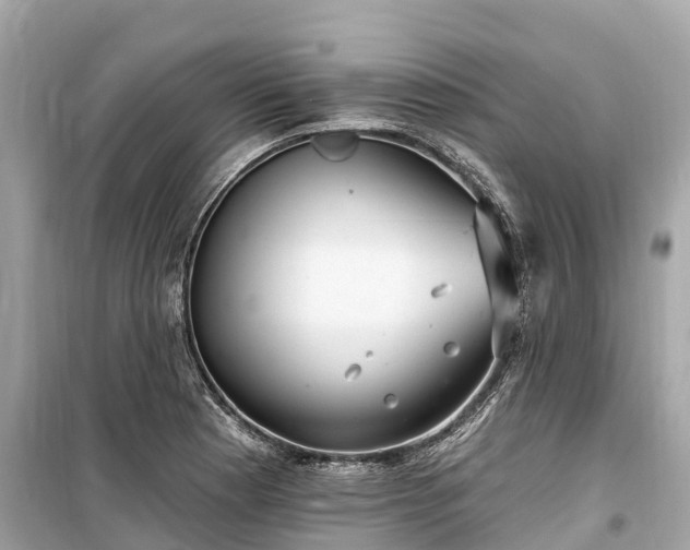 X0000099441177200805161127