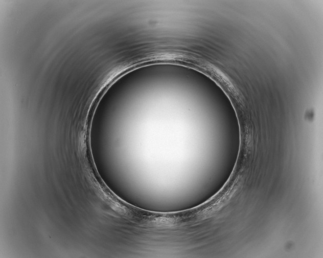X0000099441178200805161127